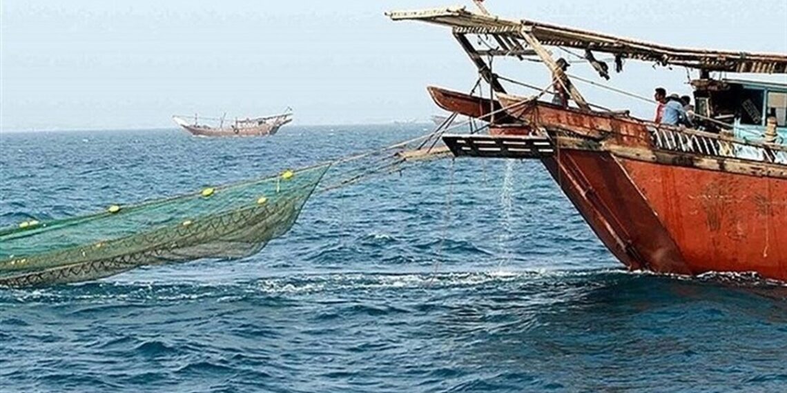 کشف 4.5 تُن ماهی ساردین فاقد مجوز در سواحل جنوبی استان بوشهر