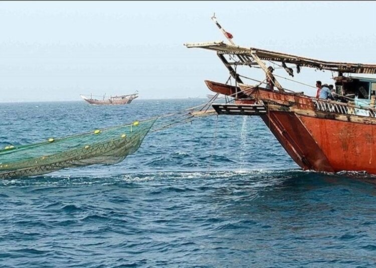 کشف 4.5 تُن ماهی ساردین فاقد مجوز در سواحل جنوبی استان بوشهر