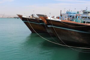 صندوق اختصاصی حمایت از شیلات خوزستان به‌زودی راه‌اندازی می‌شود