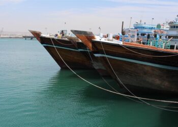 صندوق اختصاصی حمایت از شیلات خوزستان به‌زودی راه‌اندازی می‌شود