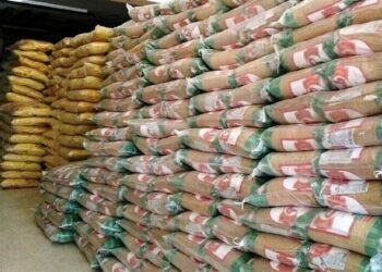 منطقه آزاد چابهار در مسیر تبدیل شدن به هاب فرآوری و بسته‌بندی برنج کشور