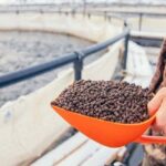 خرید اقساطی خوراک آبزیان برای تولیدکنندگان شیلات در اردبیل فراهم شد