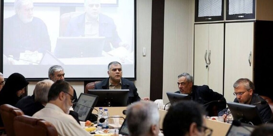 نشست مجازی مجلس با حضور وزیر نفت آغاز شد