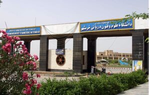 تعریف ۱۰ پروژه پژوهشی دانشگاه خرمشهر در سامانه «نان» وزارت علوم در بخش شیلات