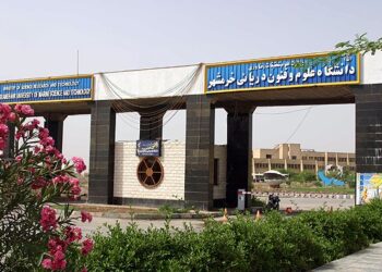 تعریف ۱۰ پروژه پژوهشی دانشگاه خرمشهر در سامانه «نان» وزارت علوم در بخش شیلات