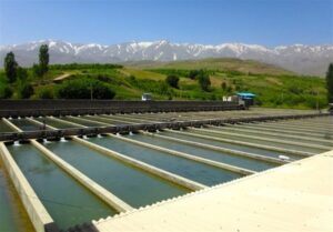 اجرای ۱۴ طرح شیلات در اردبیل آغاز شد
