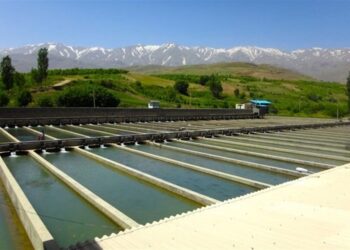 اجرای ۱۴ طرح شیلات در اردبیل آغاز شد