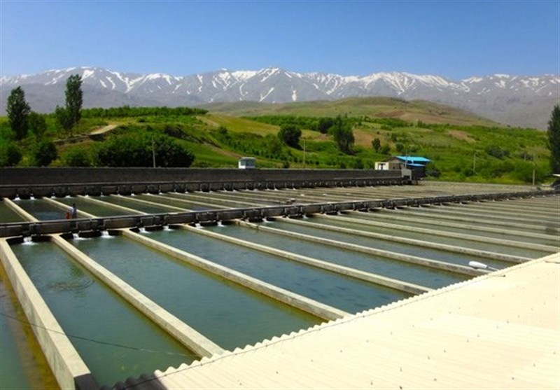 اجرای ۱۴ طرح شیلات در اردبیل آغاز شد
