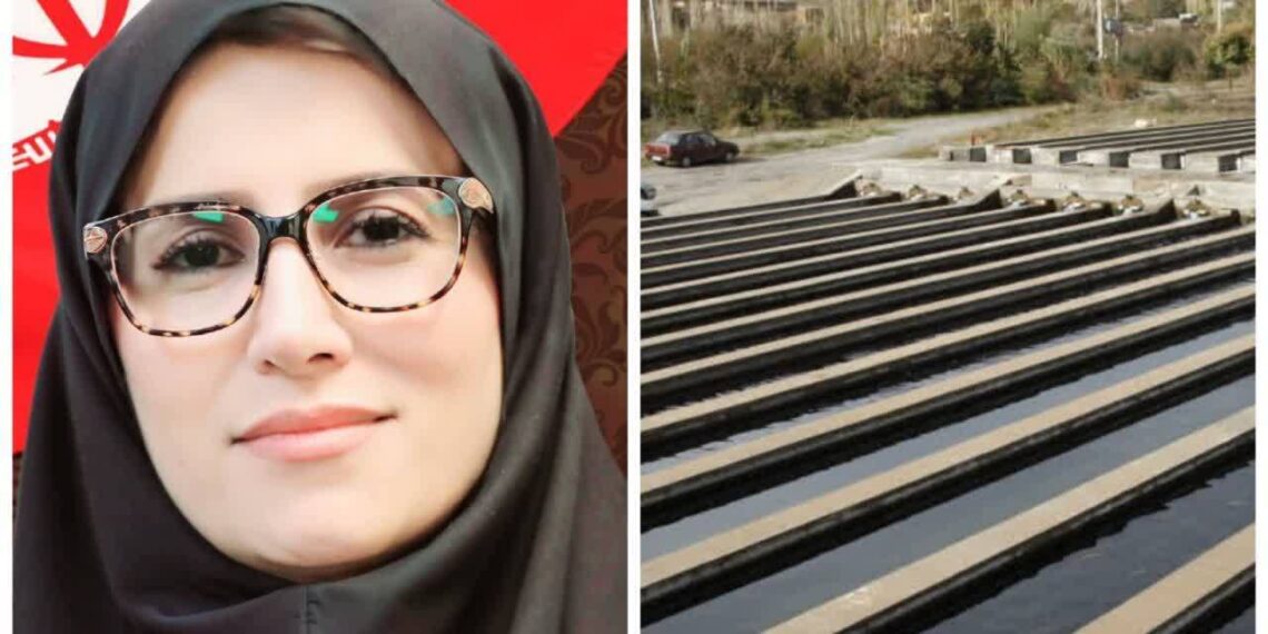 سازمان شیلات ایران؛ افزایش ۳۰ درصدی غرامت آبزی پروران بدون افزایش حق بیمه