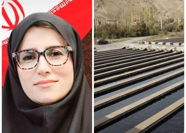 سازمان شیلات ایران؛ افزایش ۳۰ درصدی غرامت آبزی پروران بدون افزایش حق بیمه