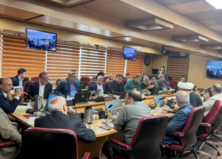 نشست اعضای کمیسیون اقتصادی مجلس شورای اسلامی با رئیس کل گمرک ایران و مدیران ستادی