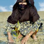 چی چکا حرا سهیلی؛ برگزاری آیین گردشگری احیاگر در یادبود ماما حوا