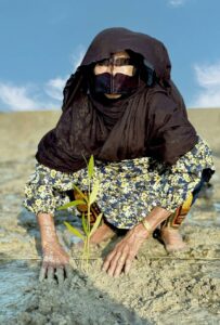 چی چکا حرا سهیلی؛ برگزاری آیین گردشگری احیاگر در یادبود ماما حوا