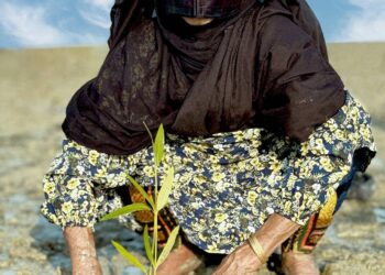 چی چکا حرا سهیلی؛ برگزاری آیین گردشگری احیاگر در یادبود ماما حوا