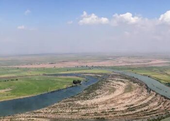 خشکه کاری برنج در خوزستان؛ راهکار کاهش زهاب کشاورزی ورودی به کارون