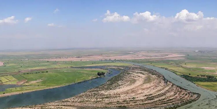 خشکه کاری برنج در خوزستان؛ راهکار کاهش زهاب کشاورزی ورودی به کارون