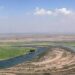خشکه کاری برنج در خوزستان؛ راهکار کاهش زهاب کشاورزی ورودی به کارون