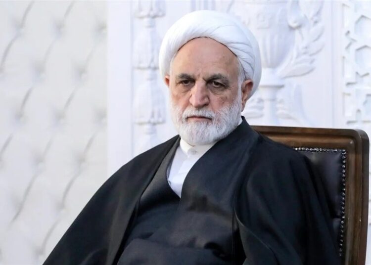 اژه ای: تنگه هرمز بخشی جدایی ناپذیر از قلمرو حریمی و مرزی ایران است
