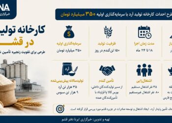 قشم در مسیر احداث کارخانه آرد با سرمایه گذاری اولیه ۳۵۰ میلیارد تومان
