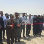 پرورش میگو؛ کلید اشتغال پایدار و رونق اقتصادی در سیریک