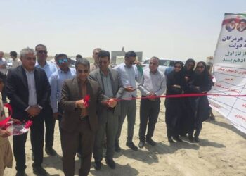 پرورش میگو؛ کلید اشتغال پایدار و رونق اقتصادی در سیریک