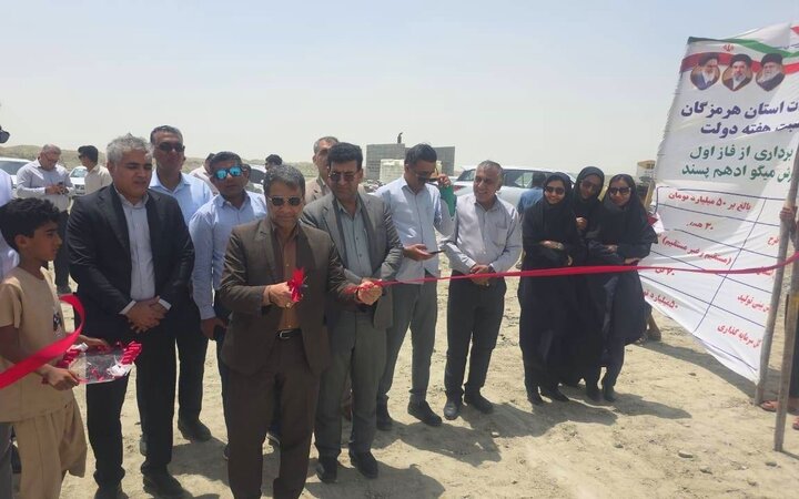 پرورش میگو؛ کلید اشتغال پایدار و رونق اقتصادی در سیریک