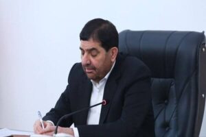 مشاور رهبر انقلاب: شکار زهپاد آمریکایی می تواند جهشی تازه ایجاد کند