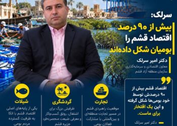 امیر سرلک: بیش از ۹۰ درصد اقتصاد قشم توسط بومیان شکل گرفته است
