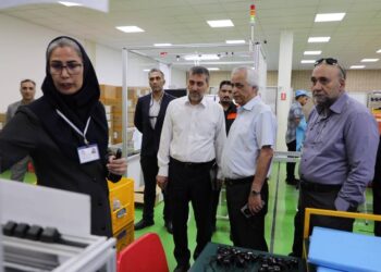 حسین فروزان از ظرفیت های صنعتی منطقه ویژه اقتصادی ارگ جدید بم بازدید کرد