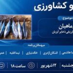 تون ماهیان؛ بررسی علمی مدیریت ذخایر و نقش آن در امنیت غذایی