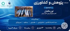 تون ماهیان؛ بررسی علمی مدیریت ذخایر و نقش آن در امنیت غذایی