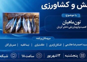 تون ماهیان؛ بررسی علمی مدیریت ذخایر و نقش آن در امنیت غذایی